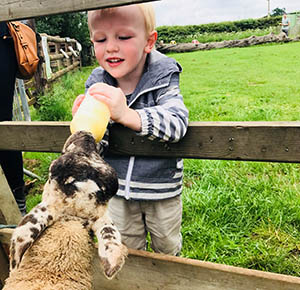 A boy feeds a lamb at Lower Drayton Farm, Staffordshire